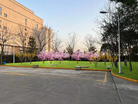 绿化改造设计效果图