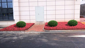 绿化改造设计效果图