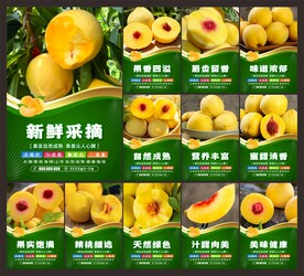 黄桃