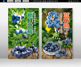 蓝莓