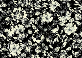 黑白花