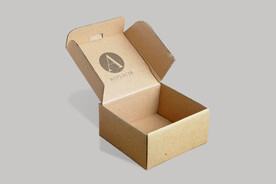 快递纸盒样机