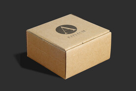 环保纸箱样机样机