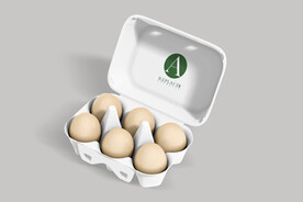 鸡蛋托盒样机