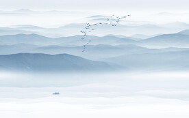 蓝色大气水墨山水画背景墙