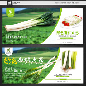 大葱