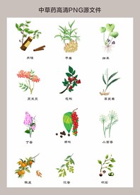 中药材高清png图片