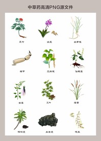 中药材高清png图片