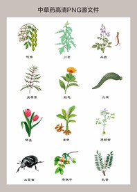 中药材高清png图片