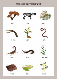 中药材高清png图片