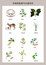 中药材高清png图片