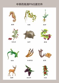中药材高清png图片