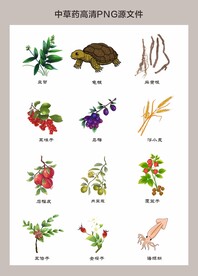 中药材高清png图片