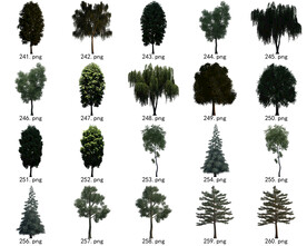 免扣高清景观树国外植物素材