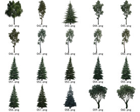 免扣高清景观树国外植物素材