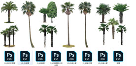 免扣高清景观树国外植物素材