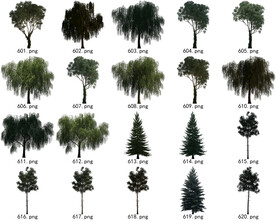免扣高清园林国外植物素材