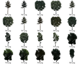 免扣高清景观树国外植物素材