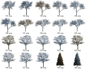 免扣高清景观树常用乔木贴图素材