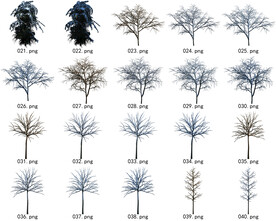 免扣高清景观树常用乔木贴图素材