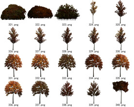 免扣高清景观树常用乔木贴图素材