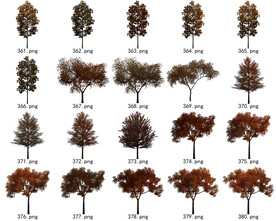 免扣高清景观树常用乔木贴图素材