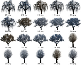 免扣高清景观树常用乔木贴图素材
