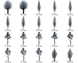 免扣高清景观树常用乔木贴图素材