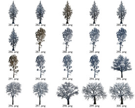 免扣高清景观树常用乔木贴图素材