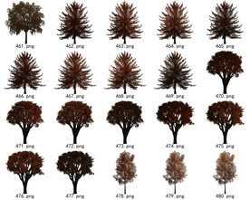 免扣高清景观树常用乔木贴图素材