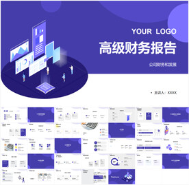 高级财务报告PPT