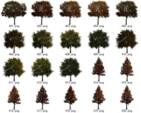 免扣高清景观树常用乔木贴图素材