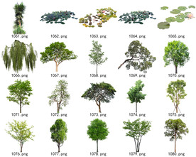 免扣高清景观树常用乔木贴图素材