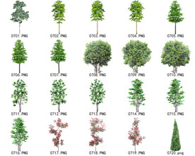 免扣高清景观树常用乔木贴图素材