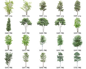 免扣高清景观树常用乔木贴图素材