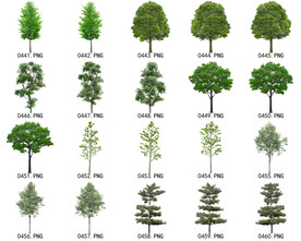 免扣高清景观树常用乔木贴图素材