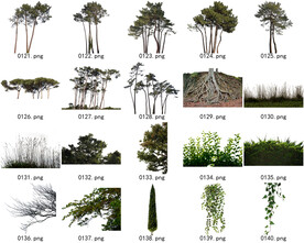 免扣高清景观树常用乔木贴图素材