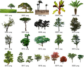 免扣高清景观树常用乔木贴图素材