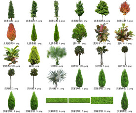 高清树木花卉绿植免抠贴图素材 