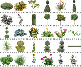 高清树木花卉绿植免抠贴图素材 