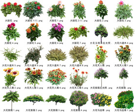 高清树木花卉绿植免抠带名贴图