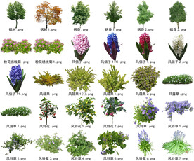 高清树木花卉绿植免抠贴图素材 