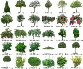 高清树木花卉绿植免抠贴图素材 