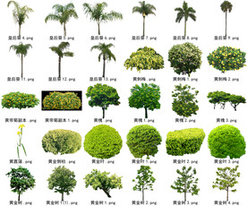 高清树木花卉绿植免抠贴图素材 
