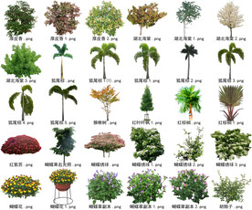 高清树木花卉绿植免抠贴图素材 