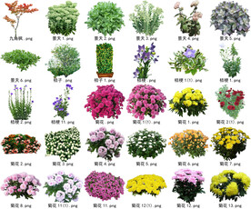 高清树木花卉绿植免抠贴图素材 