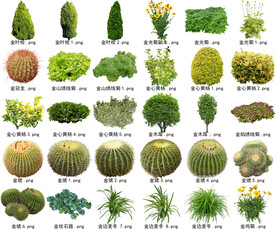 高清树木花卉绿植免抠贴图素材 