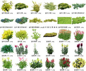 高清树木花卉绿植免抠贴图素材 