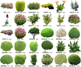 高清树木花卉绿植免抠贴图素材 