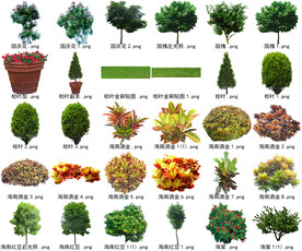 高清树木花卉绿植免抠贴图素材 